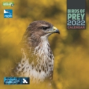 RSPB Birds of Prey Square Wall Calendar 2022 - Book