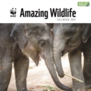 WWF Amazing Wildlife Square Wall Calendar 2022 - Book