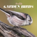 British Garden Birds Mini Square Wall Calendar 2022 - Book