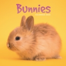 Bunnies Mini Square Wall Calendar 2022 - Book