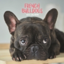 French Bulldogs Mini Square Wall Calendar 2022 - Book