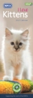I Love Kittens, RSPCA Slim Calendar 2022 - Book
