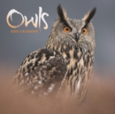 Owls Mini Square Wall Calendar 2022 - Book