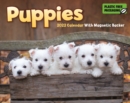 Puppies Mini Box Calendar 2022 - Book