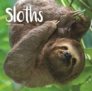Sloths Mini Square Wall Calendar 2022 - Book