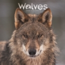 Wolves Mini Square Wall Calendar 2022 - Book