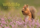 Wildlife of Britain A4 Calendar 2022 - Book