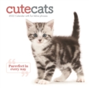Cute Cats Square Wall Calendar 2022 - Book