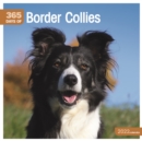 Border Collies 365 Days Square Wall Calendar 2022 - Book