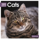 Cats 365 Days Square Wall Calendar 2022 - Book
