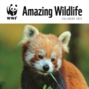 WWF Amazing Wildlife Square Wall Calendar 2024 - Book
