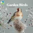 RSPB Garden Birds Square Wall Calendar 2024 - Book