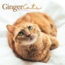 Ginger Cats Square Wall Calendar 2024 - Book