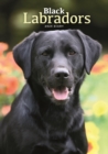 Labrador Retrievers Black A5 Diary 2024 - Book
