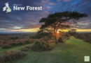 New Forest A4 Calendar 2025 - Book