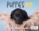 Puppies Mini Box Calendar 2025 - Book