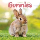 Bunnies Square Mini Calendar 2025 - Book