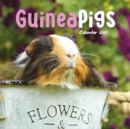 Guinea Pigs Square Mini Calendar 2025 - Book