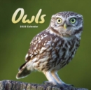 Owls Square Mini Calendar 2025 - Book