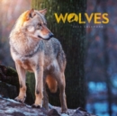 Wolves Square Mini Calendar 2025 - Book