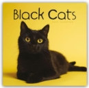 Black Cats Square Wall Calendar 2025 - Book