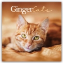 Ginger Cats Square Wall Calendar 2025 - Book