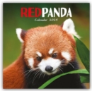 Red Pandas Square Wall Calendar 2025 - Book