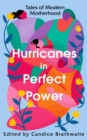 Hurricanes in Perfect Power : Tales of Modern Motherhood - eBook