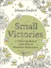Small Victories : A Colouring Book of Little Wins and Miniature Masterpieces - Book