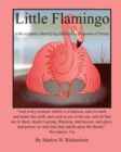 Little Flamingo : identifying Biblical expressions of Praise - Book