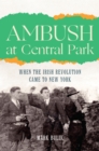 Ambush at Central Park : When the IRA Came to New York - eBook