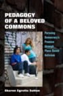 Pedagogy of a Beloved Commons : Pursuing Democracy's Promise through Place-Based Activism - eBook