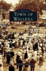 Town of Wallkill - Book