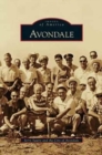 Avondale - Book