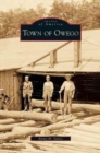 Town of Owego - Book
