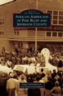 African Americans of Pine Bluff and Jefferson County - Book