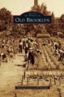 Old Brooklyn - Book