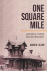 One Square Mile : A History of Trenton Junction, New Jersey - eBook