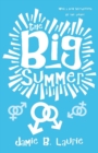 The Big Summer - Book