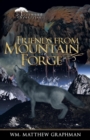 Friends from Mountain Forge - Book