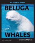 My Favorite Animal : Beluga Whales - Book