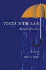 Voices in the Rain : Meaning in Psychosis - Book