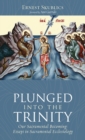 Plunged into the Trinity - Book