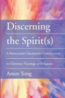 Discerning the Spirit(s) - Book