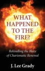 What Happened to the Fire? - Book