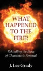What Happened to the Fire? - Book