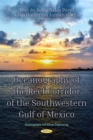 Oceanography of the Reef Corridor of the Southwestern Gulf of Mexico - eBook