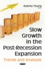 Slow Growth in the Post-Recession Expansion : Trends and Analyses - eBook