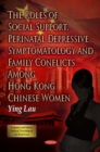 The Roles of Social Support, Perinatal Depressive Symptomatology and Family Conflicts Among Hong Kong Chinese Women - eBook