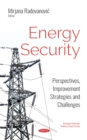 Energy Security : Perspectives, Improvement Strategies and Challenges - eBook